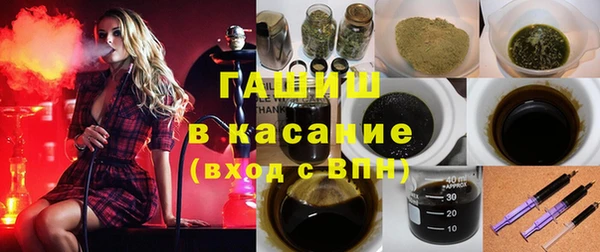 тгк Инсар