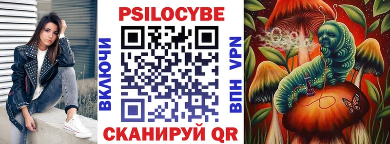 где продают   blacksprut зеркало  Псилоцибиновые грибы MAGIC MUSHROOMS  сайты даркнета какой сайт  Железногорск-Илимский 